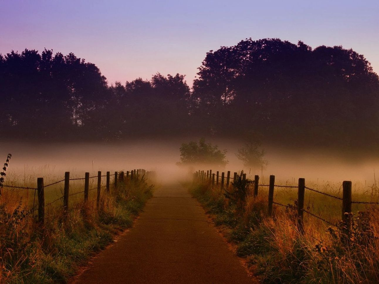 Lavender Fields as Photography Stops