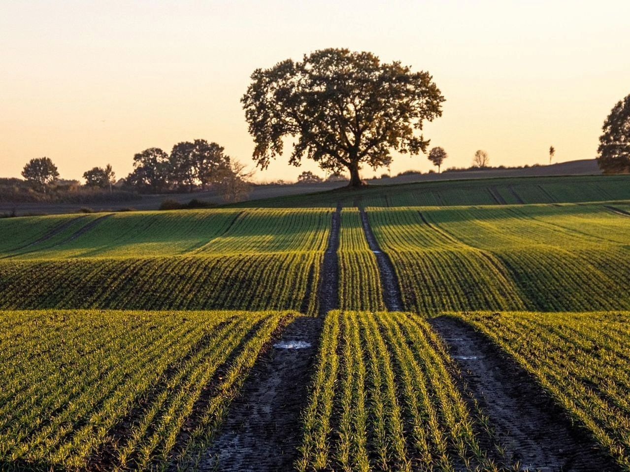 Spring Planting Farm Tours